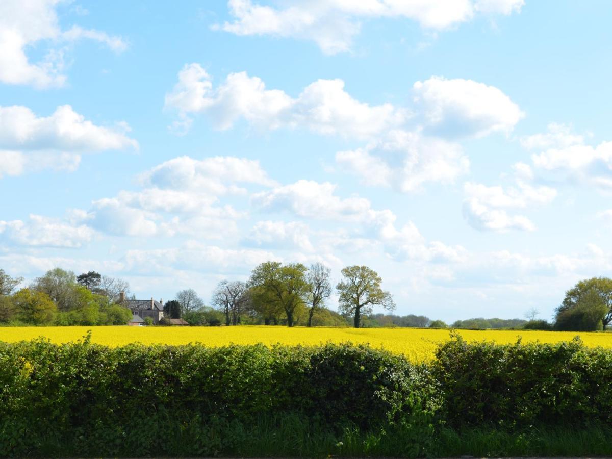 The Bird In Hand Ashwellthorpe エクステリア 写真